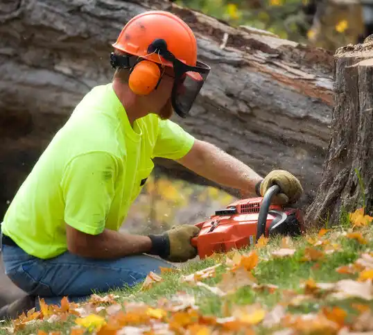 tree services Carrollton